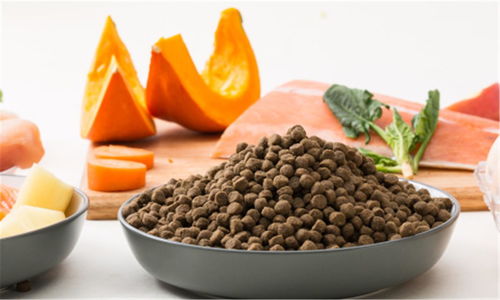 豆柴完成數千萬元A輪融資，金鼎資本領投，加速寵物食品市場布局