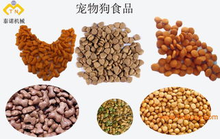 一站式解決方案 操作簡單的寵物食品生產(chǎn)線與飼料設(shè)備加工基地
