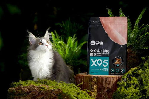 20億押注寵物健康 衛(wèi)仕總裁談食品賽道新邏輯