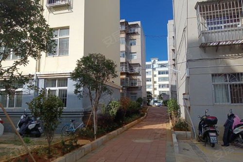 曲靖燃料廠一生活區(qū)居住體驗與周邊房產(chǎn)市場觀察